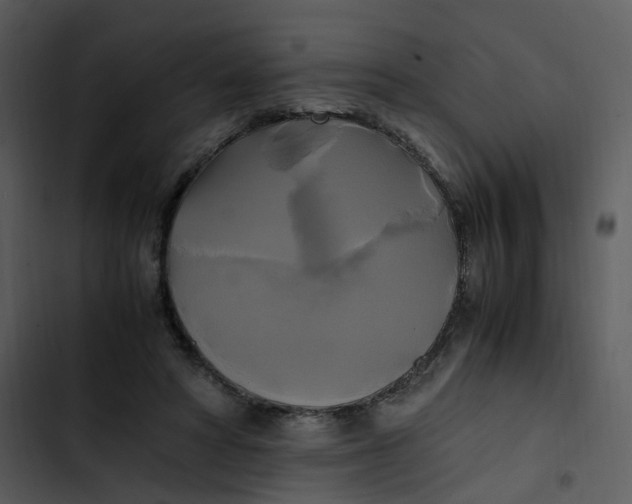 X0000102840402200809081224