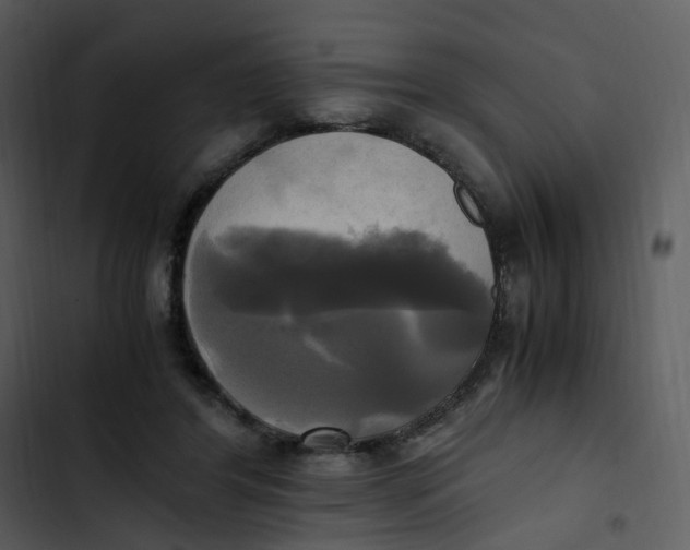 X0000102840404200809081224