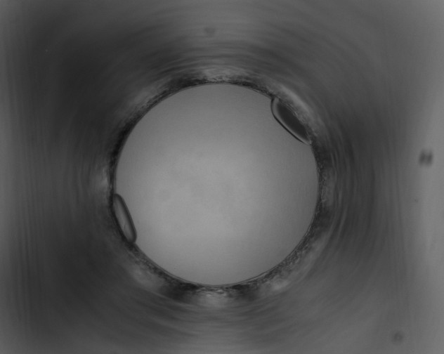 X0000102840405200809081224