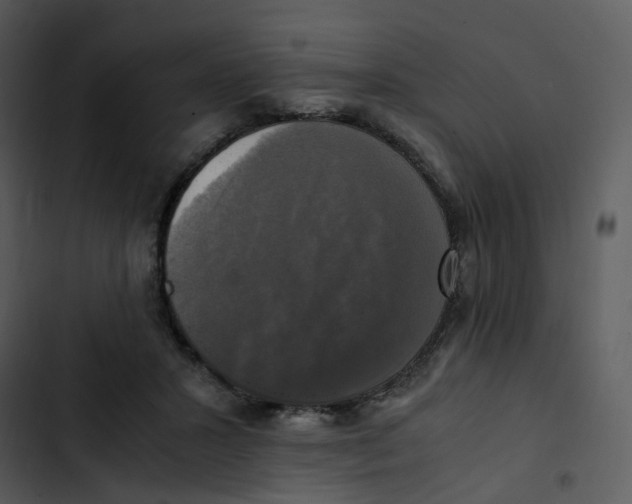 X0000102840407200809081224