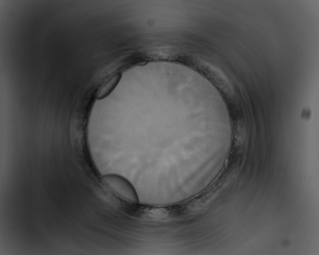 X0000102840409200809081224