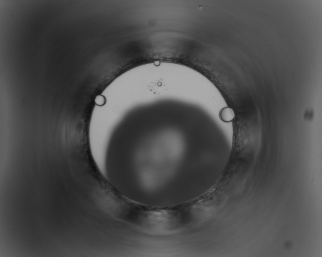 X0000102840411200809081224