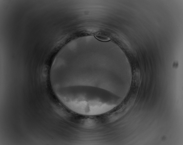 X0000102840412200809081224