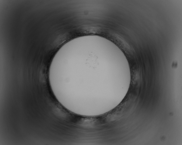 X0000102840414200809081224