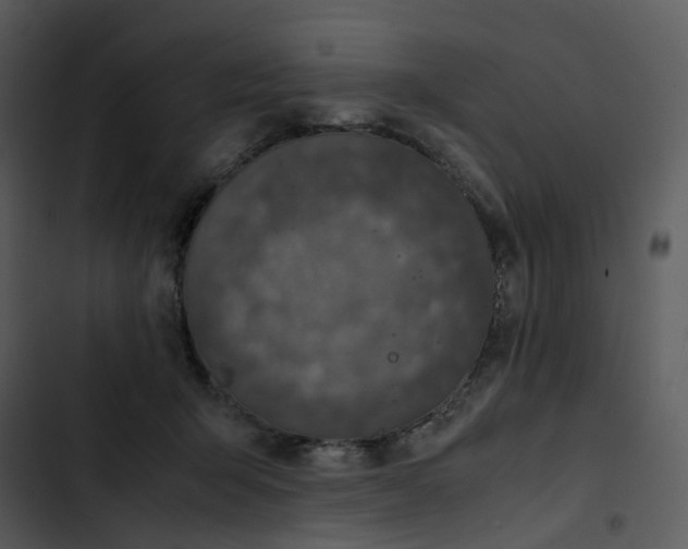 X0000102840415200809081224