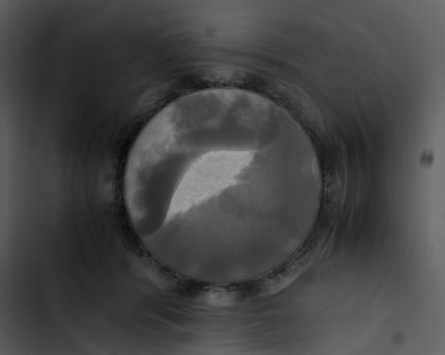 X0000102840416200809081224