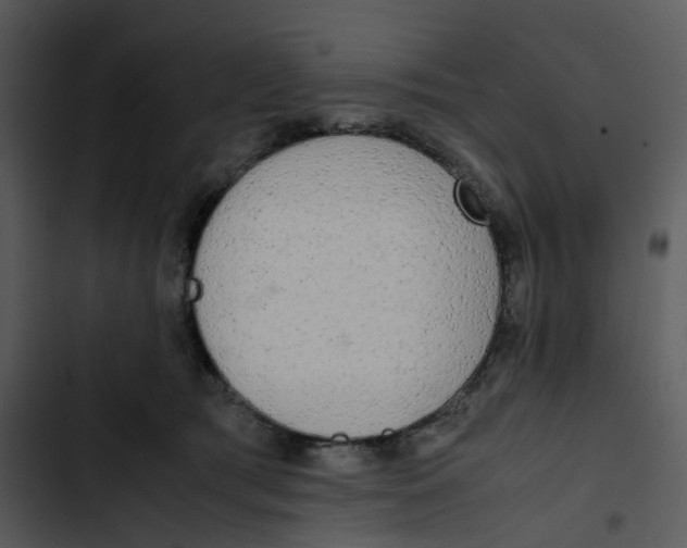 X0000102840417200809081224