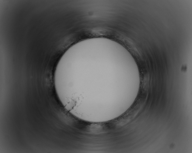 X0000102840418200809081224