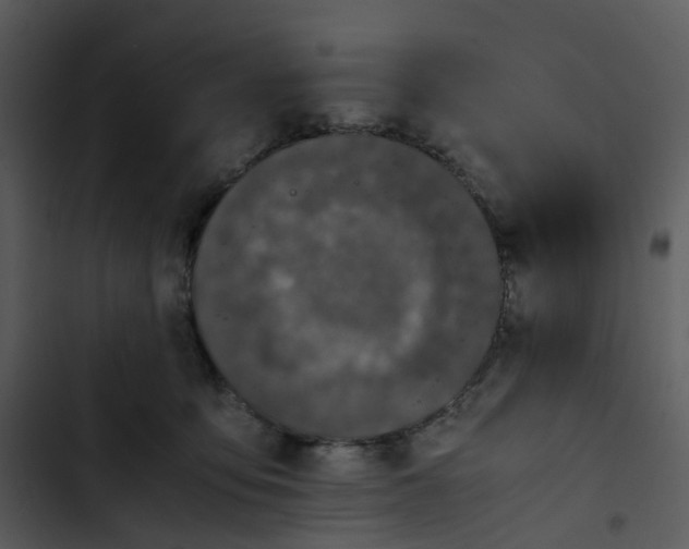 X0000102840419200809081224