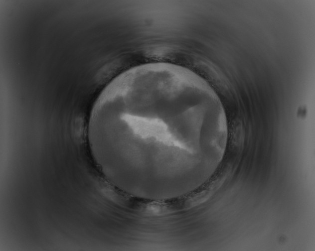 X0000102840420200809081224