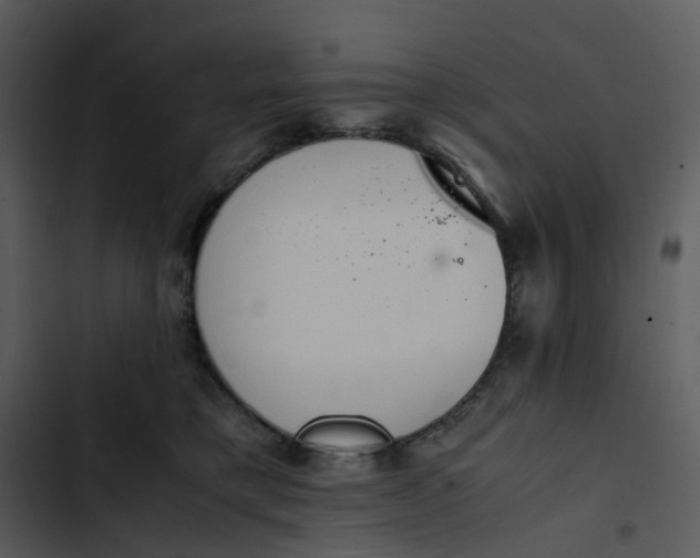 X0000102840421200809081224