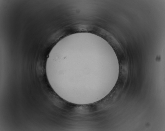 X0000102840422200809081224