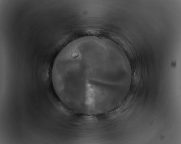 X0000102840424200809081224