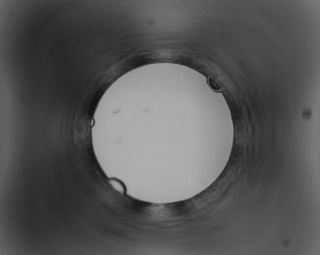 X0000102840425200809081224