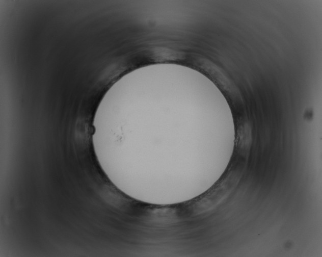 X0000102840426200809081224