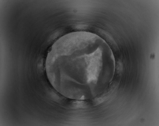 X0000102840428200809081224