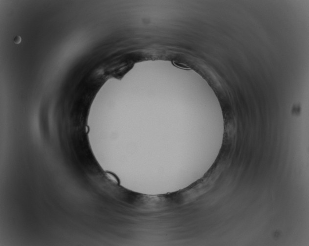 X0000102840429200809081224