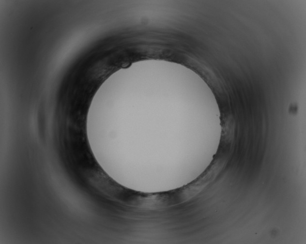 X0000102840430200809081224