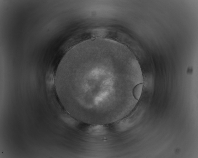 X0000102840431200809081224