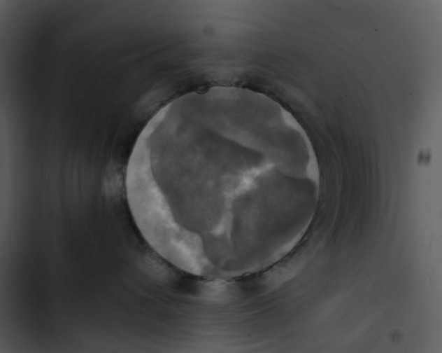 X0000102840432200809081224