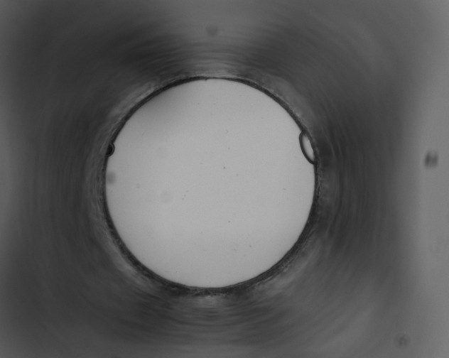 X0000102840433200809081223