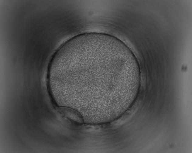 X0000102840434200809081223