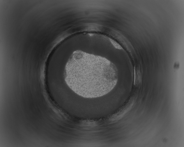 X0000102840435200809081223