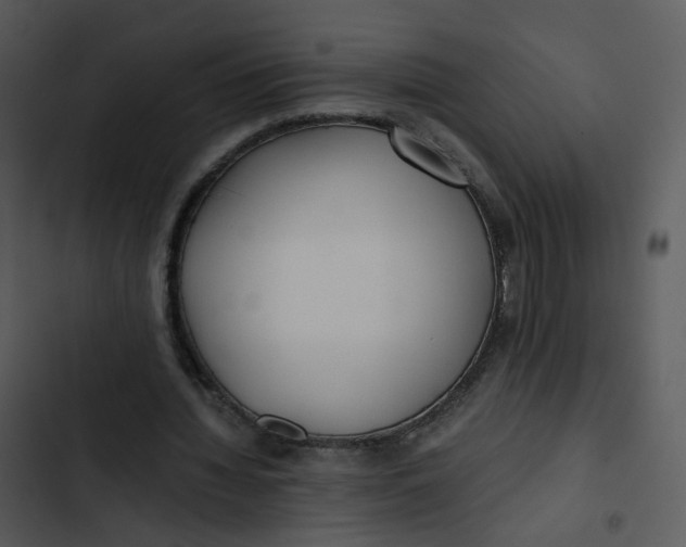 X0000102840436200809081223