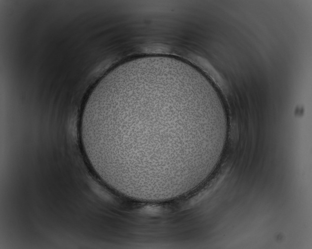 X0000102840441200809081224