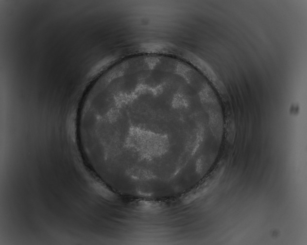 X0000102840442200809081224