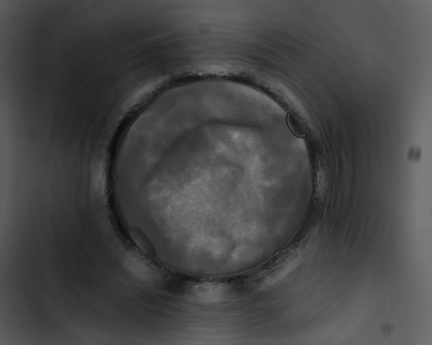 X0000102840444200809081224