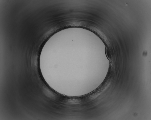 X0000102840445200809081224