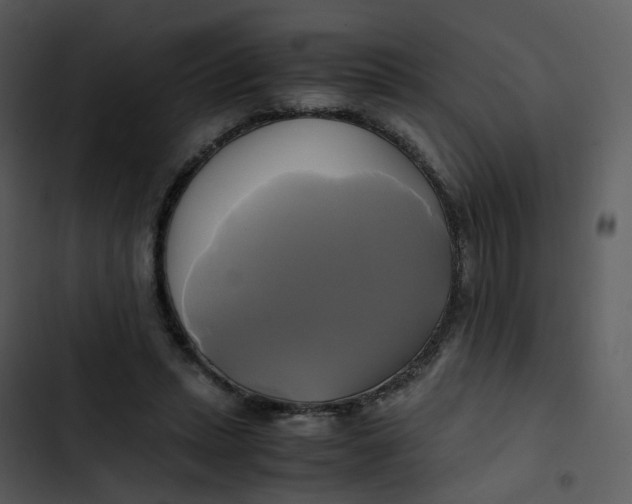 X0000102840447200809081224