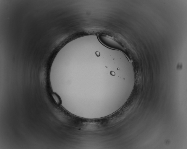 X0000102840448200809081224