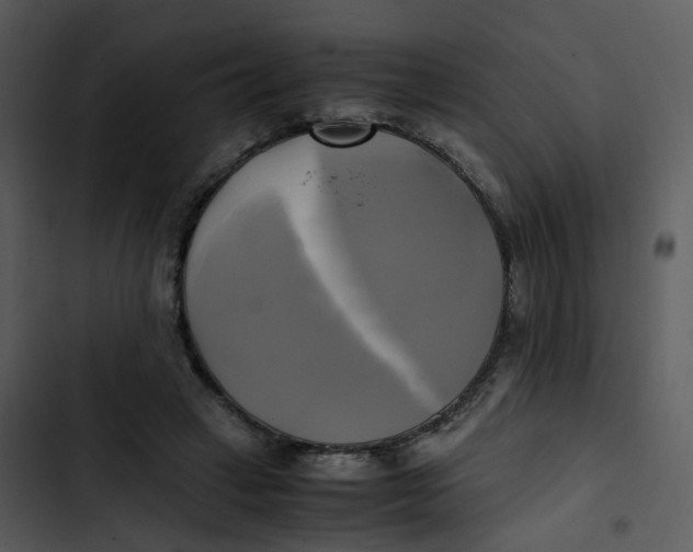 X0000102840449200809081224