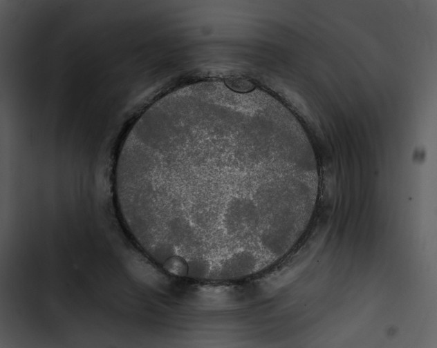 X0000102840450200809081224