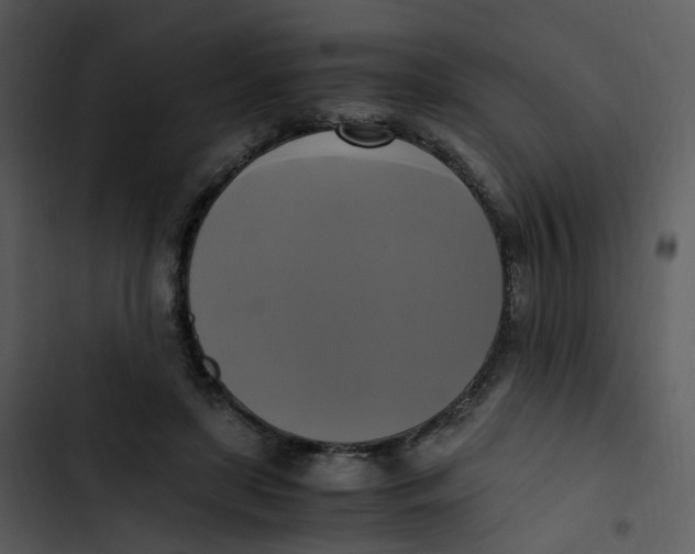 X0000102840451200809081224