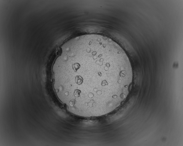 X0000102840453200809081224