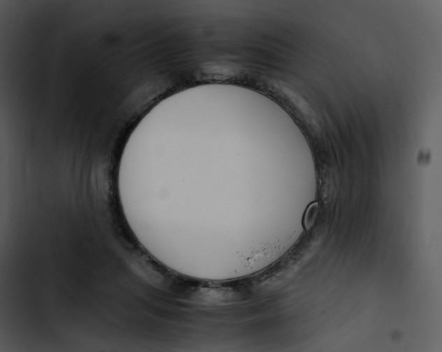 X0000102840455200809081224