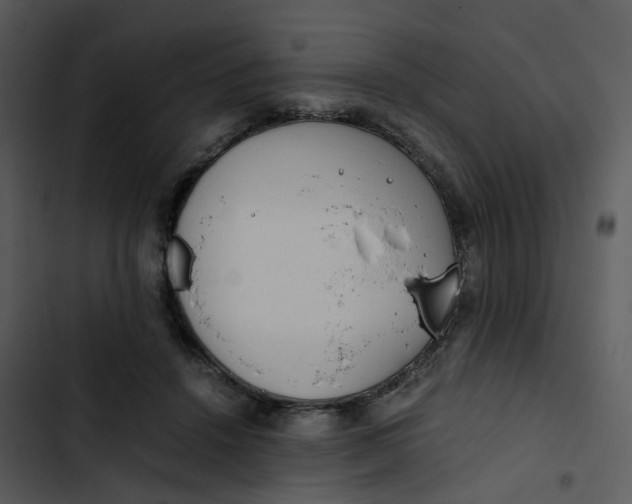 X0000102840456200809081224