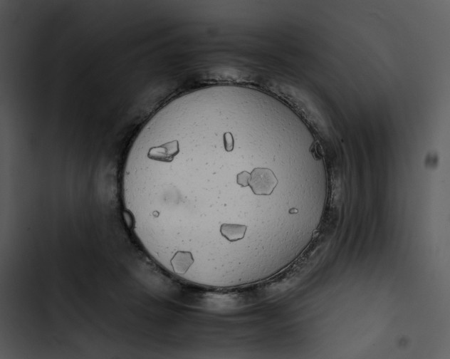 X0000102840457200809081224