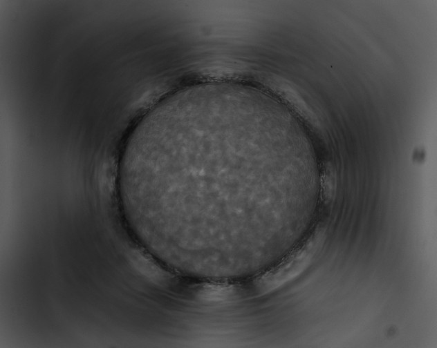 X0000102840458200809081224