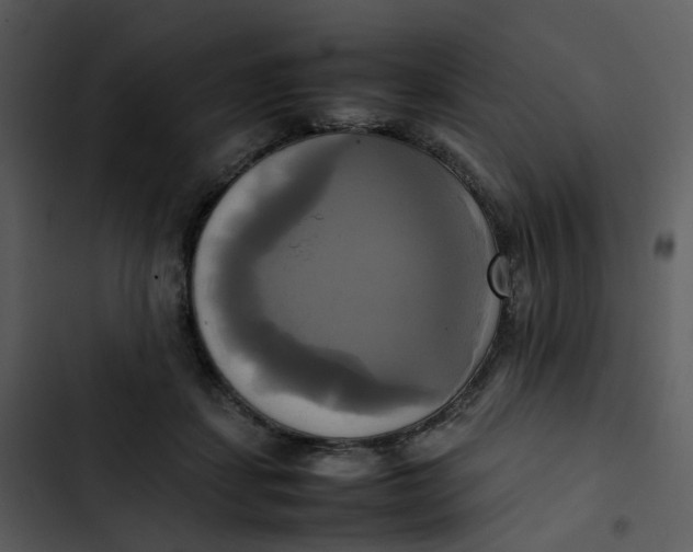 X0000102840459200809081224