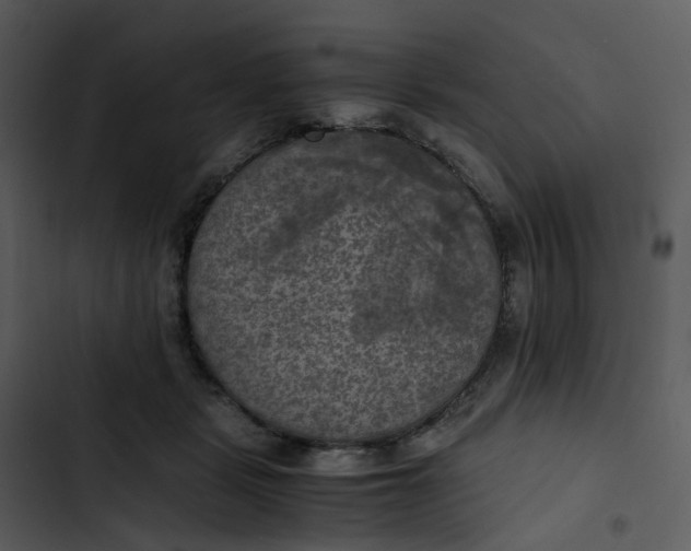 X0000102840461200809081224