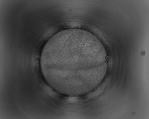 X0000102840462200809081224