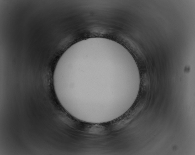 X0000102840463200809081224