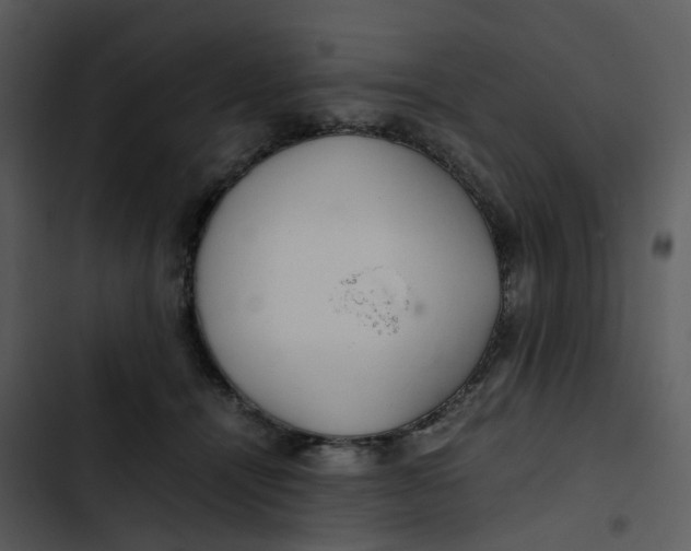 X0000102840464200809081224