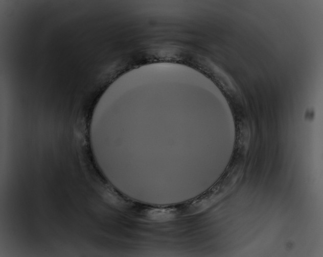 X0000102840465200809081224