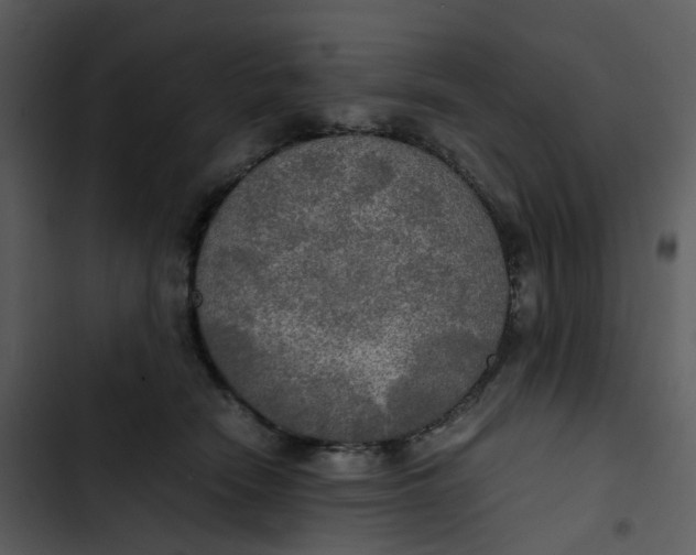 X0000102840466200809081224