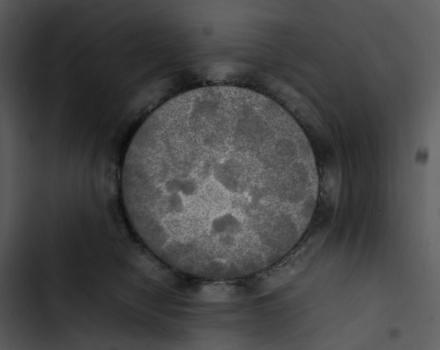 X0000102840470200809081224